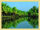  Alleppey - The Kerala Backwaters are a chain of large lakes linked by canals lying parallel to the Arabian coast.