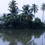 Kumarakom Houseboat Cruise In Backwaters